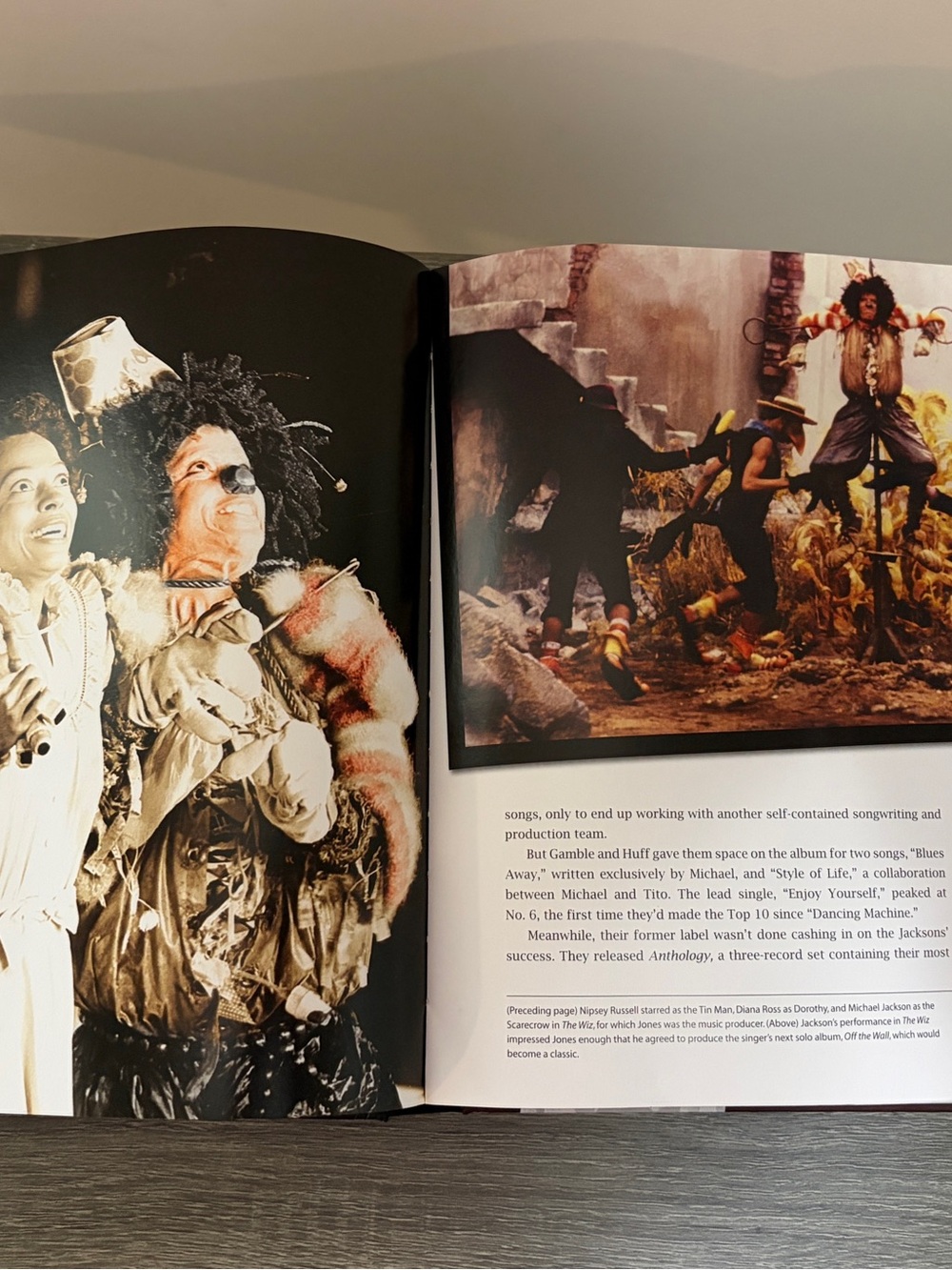 MJ  "A Tribute to the King of Pop 1958-2009" Platinum Ed. Collector's Vault - Picture 6 of 13